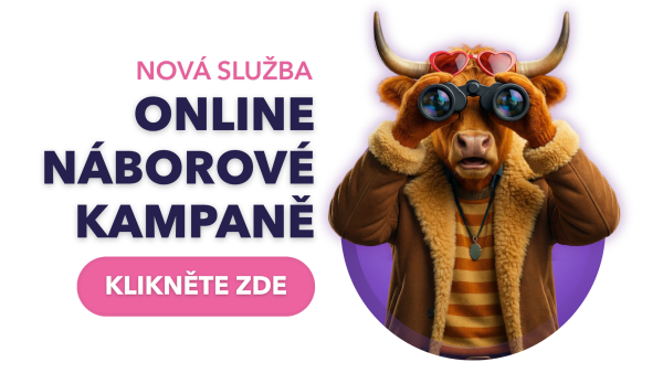Online náborové kampaně